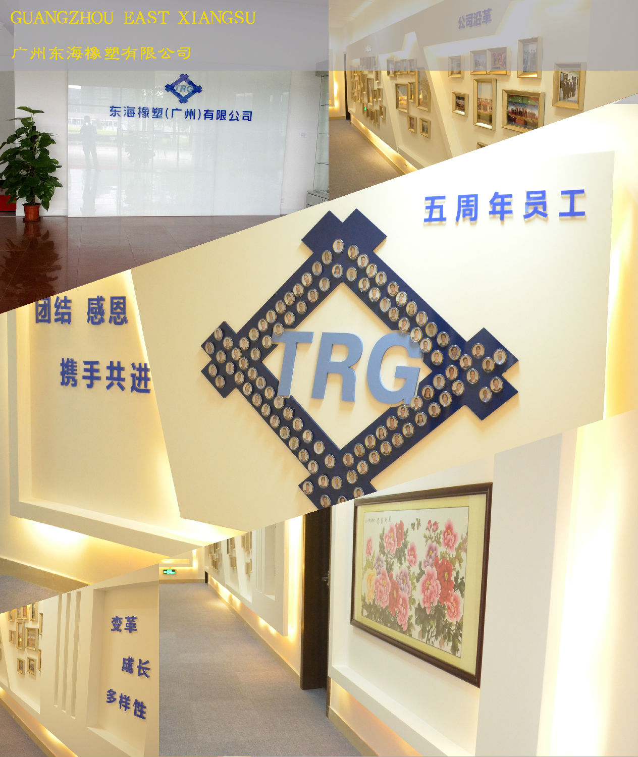 东海办公室91视频网站入口.jpg