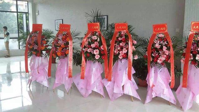91视频大全污免费看装饰开业大吉.jpg